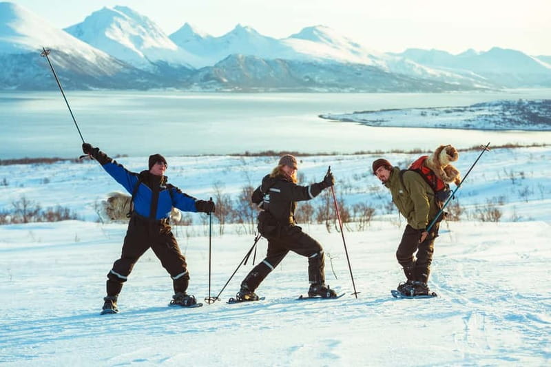 From Tromsø: Guided Husky Snowshoe Hike and Husky Camp Visit - Meeting all 200 huskies and the puppies