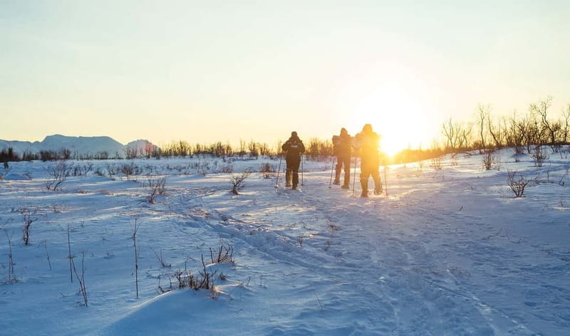 From Tromsø: Guided Husky Snowshoe Hike and Husky Camp Visit - Who should book this Tromsø adventure