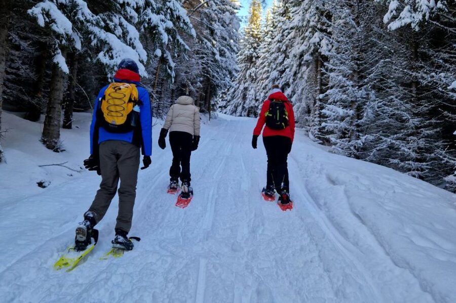 From Tromsø: Snowshoe Hike in the Arctic - Key points to know before booking