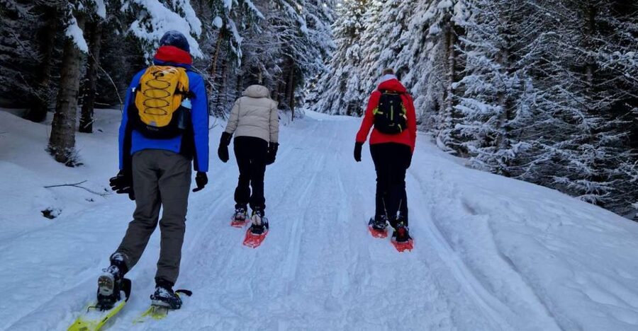 From Tromsø: Snowshoe Hike in the Arctic - Ersfjordbotn, fjords, and Arctic views