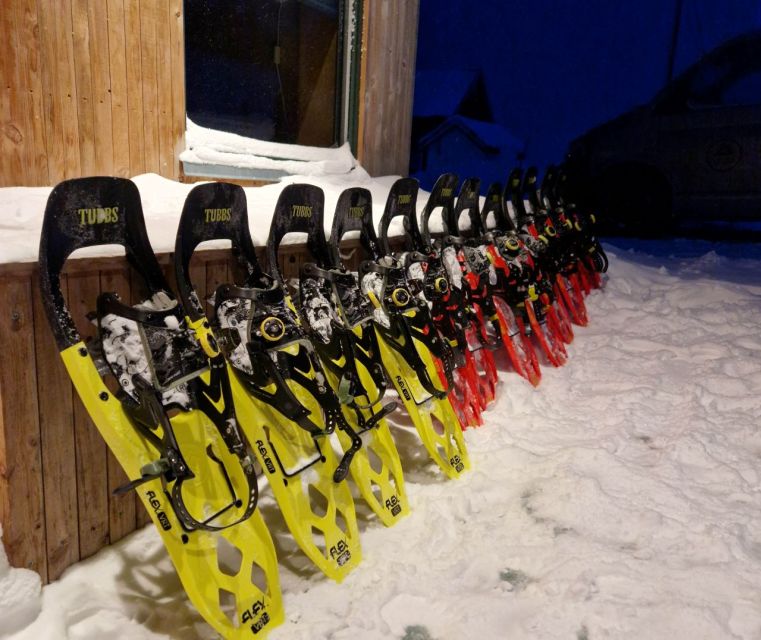 From Tromsø: Snowshoe Hike in the Arctic - Small groups and guide quality