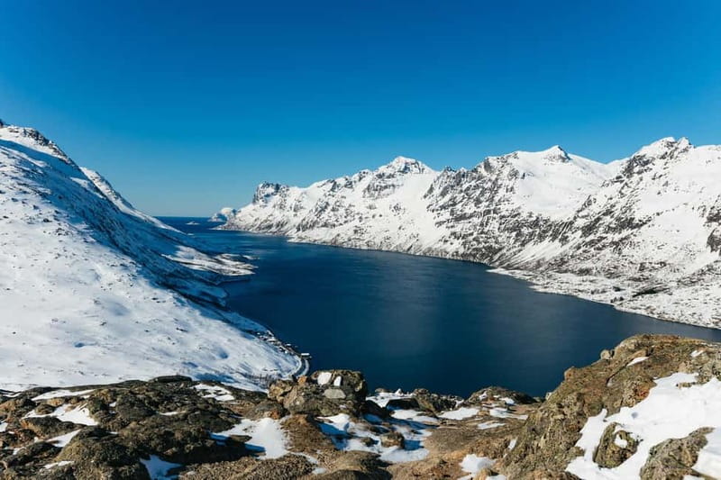 From Tromsø: Snowshoeing Hike with Picnic Lunch and Photos - Key points to know before booking