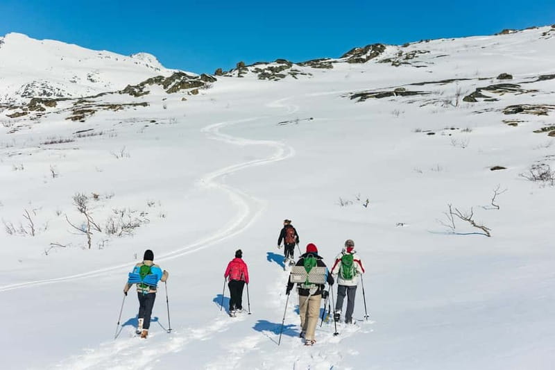From Tromsø: Snowshoeing Hike with Picnic Lunch and Photos - Guides who make first-time snowshoeing easier