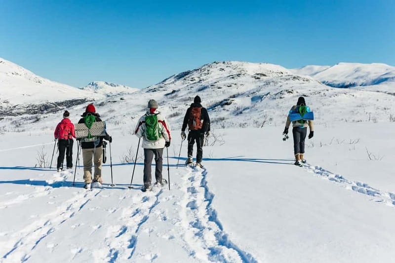 From Tromsø: Snowshoeing Hike with Picnic Lunch and Photos - Clothing, gear, and the real comfort factor