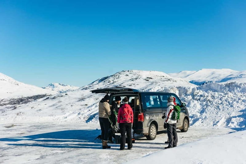 From Tromsø: Snowshoeing Hike with Picnic Lunch and Photos - Is $141 a fair price?