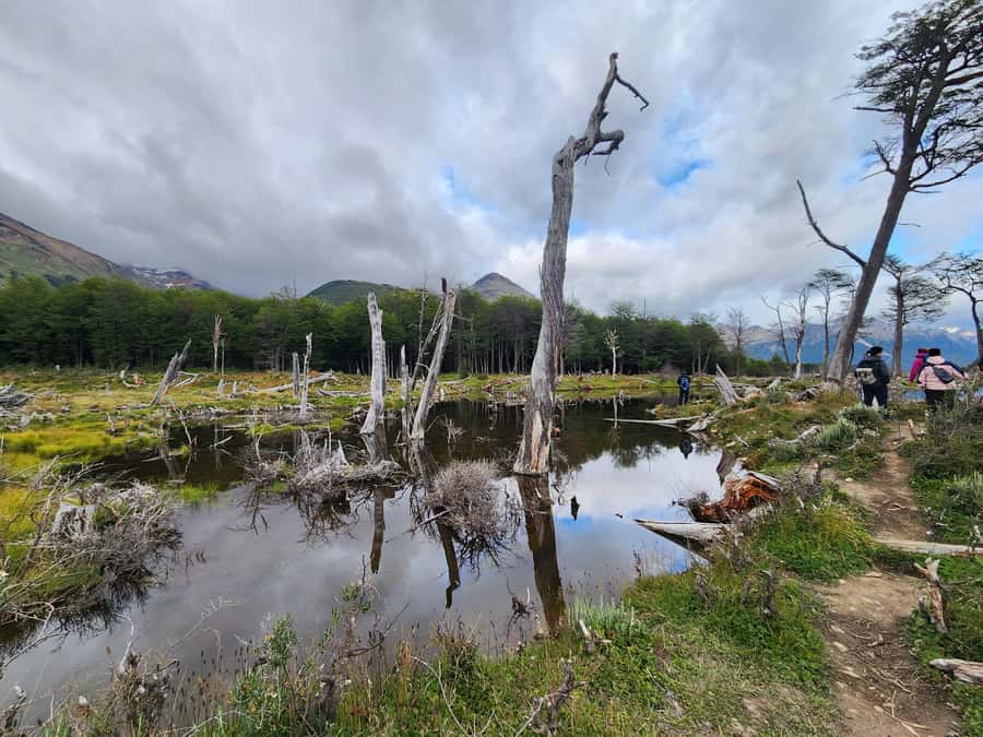 From Ushuaia: Tierra del Fuego Emerald Lagoon Trekking Tour - Reaching Laguna Esmeralda from Ushuaia