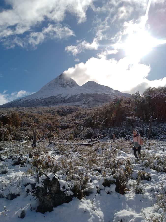 From Ushuaia: Tierra del Fuego Emerald Lagoon Trekking Tour - Forest, river, and two changing valleys