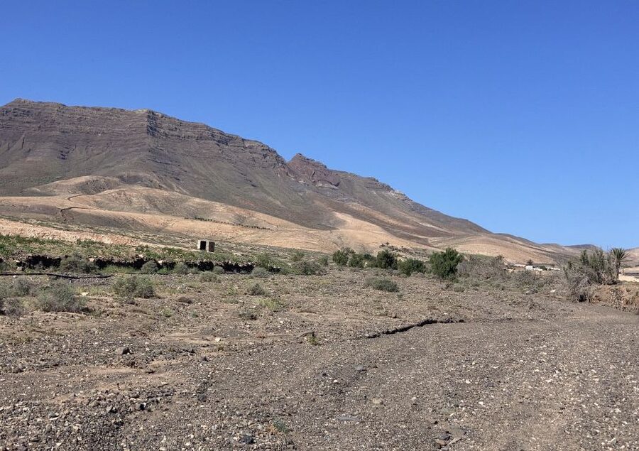 Fuerteventura: Guided Trekking Tour with Island Goats - Goat cheese and a local snack after the hike