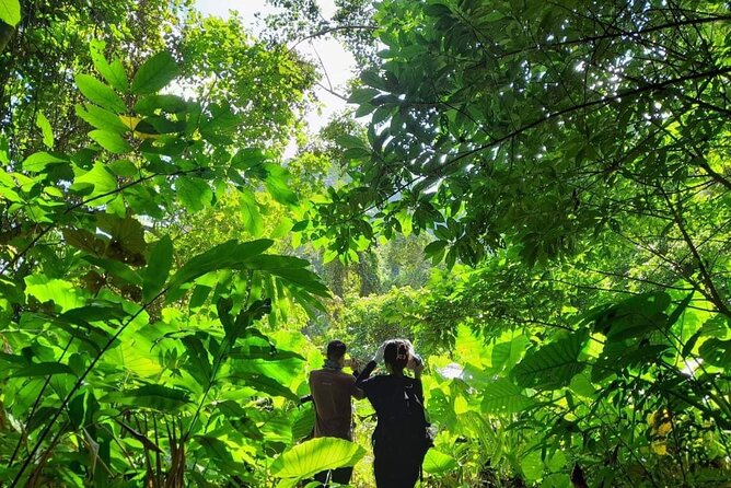 Full-Day Cuc Phuong National Park Hiking Tour - What the lunch adds, and what it does not