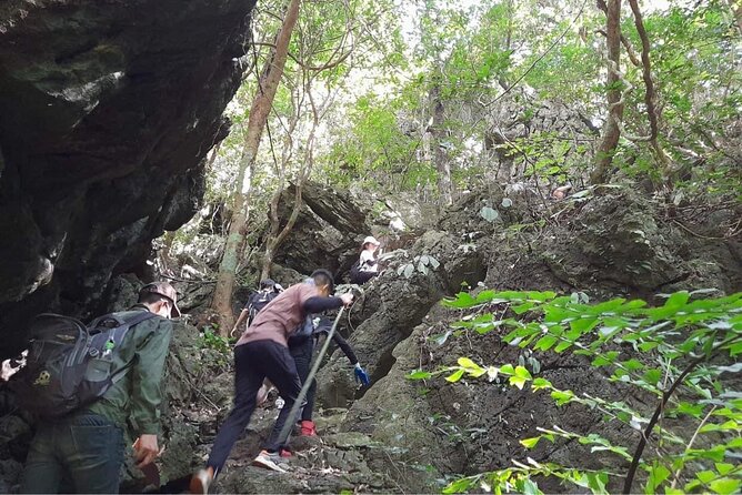 Full-Day Cuc Phuong National Park Hiking Tour - What the $24 price really covers