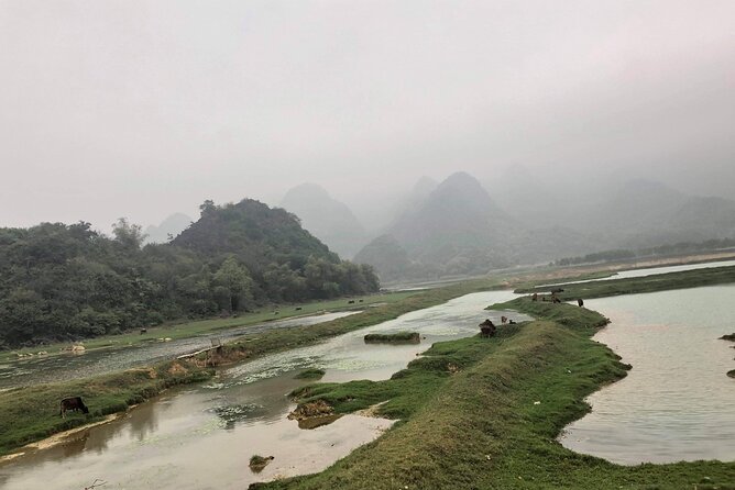 Full-Day Cuc Phuong National Park Hiking Tour - Who will get the most from this day?