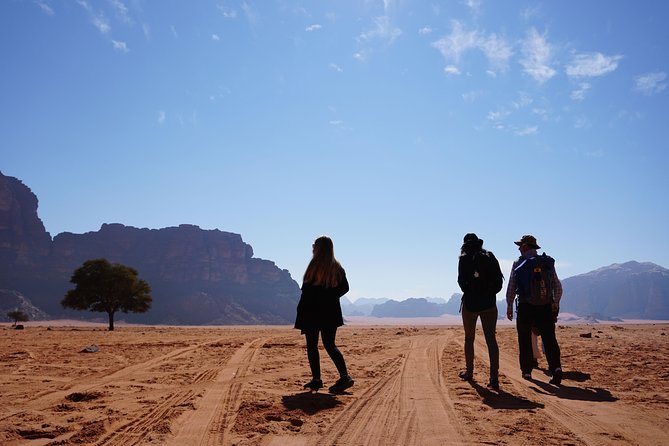 Full Day Desert Tour, Jeep & Hiking - Sand dunes with room for simple fun