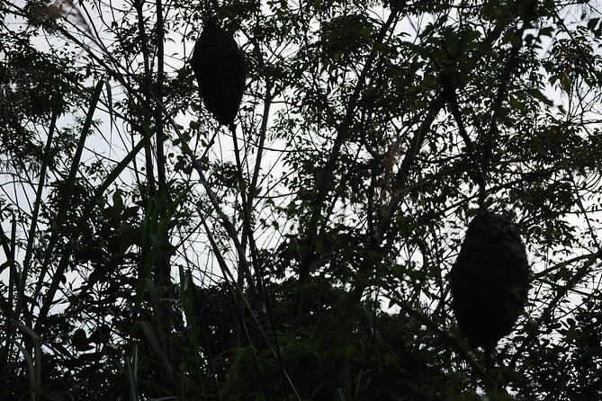 Full day hikes, Cycles, Kayaks & swims in Cat Ba National park - A full day across Cat Ba Island