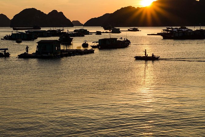 Full day hikes, Cycles, Kayaks & swims in Cat Ba National park - Frog Pond and the forest’s quiet center
