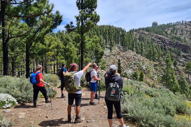 Full day Hiking Gran Canaria Peaks of Gran Canaria - Key points at a glance