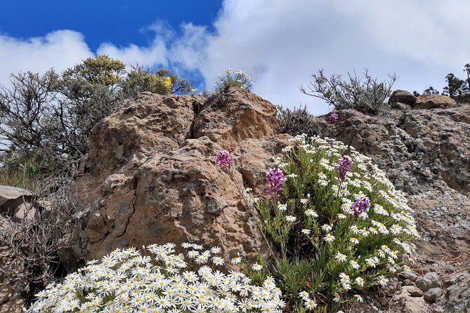 Full day Hiking Gran Canaria Peaks of Gran Canaria - The views toward Roque Nublo and Tenerife