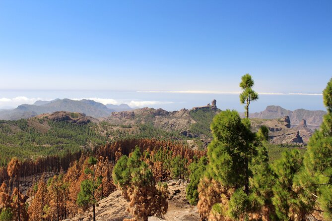 Full day Hiking Gran Canaria Peaks of Gran Canaria - Maciej’s guiding style and group size