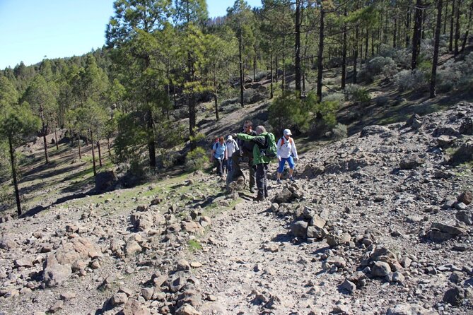 Full day Hiking Gran Canaria Peaks of Gran Canaria - Seasonal limits and weather decisions