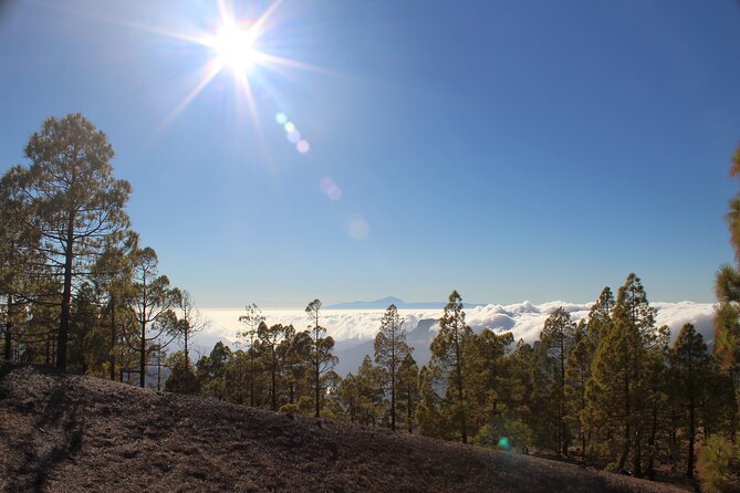 Full day Hiking Gran Canaria Peaks of Gran Canaria - Walking through pine forest and open mountain paths