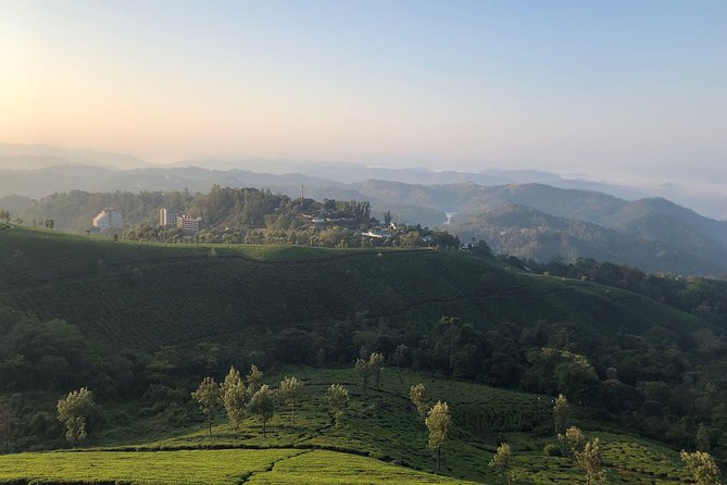 Full day in hiking in Munnar (By Munnar Info) - The climb toward Lekshmi Hills and Pothamedu