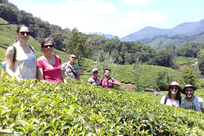 Full day in hiking in Munnar (By Munnar Info) - From plantation paths to forest walking