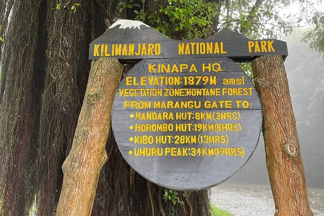 Full Day Private Hiking Tour to Kilimanjaro Mountain - Walking through Kilimanjaro’s rainforest
