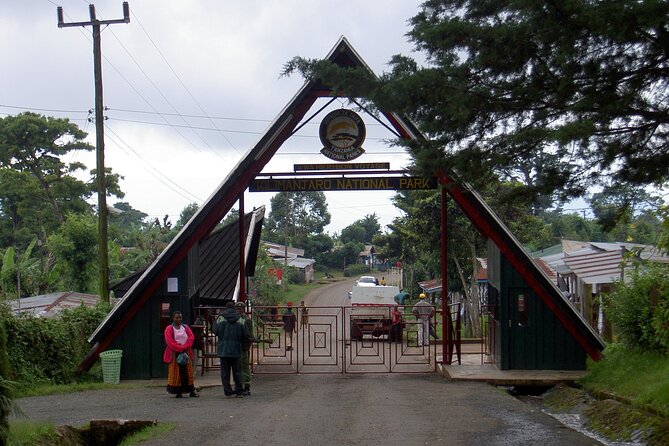 Full Day Private Hiking Tour to Kilimanjaro Mountain - Is $250 a fair price?