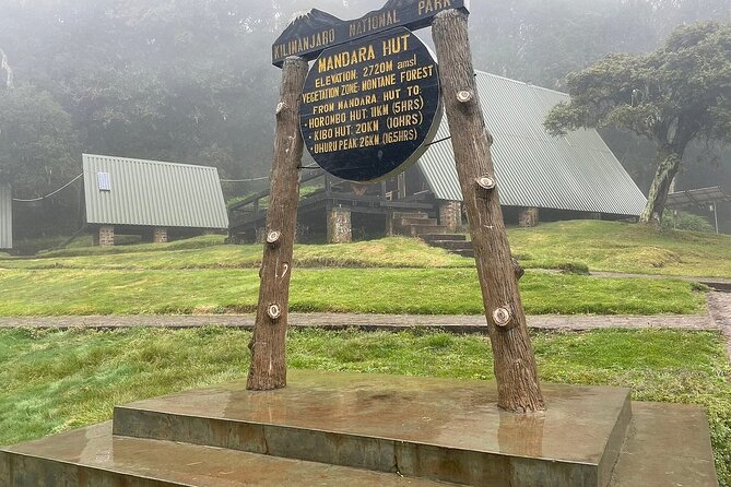 Full Day Private Hiking Tour to Kilimanjaro Mountain - The private format and guide quality