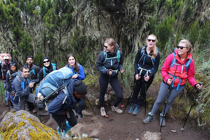 Full Day Private Hiking Tour to Kilimanjaro Mountain - Who should book this experience?