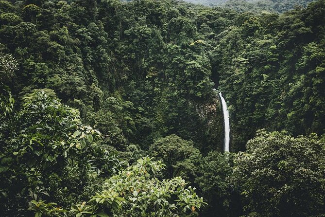 Full Day Tour with Safari Float, Waterfall and Volcano Hike - At a glance: what makes this day special