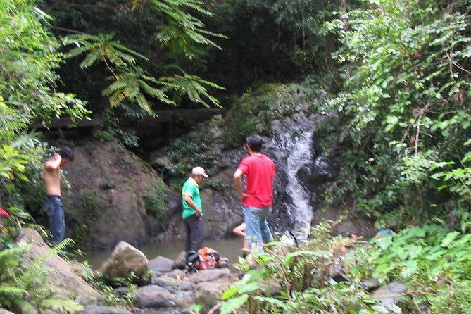Full Day Trek to Kuang Si Waterfalls, Remote Village - Bear Rescue Center and the Kuang Si Heritage Rice Farm