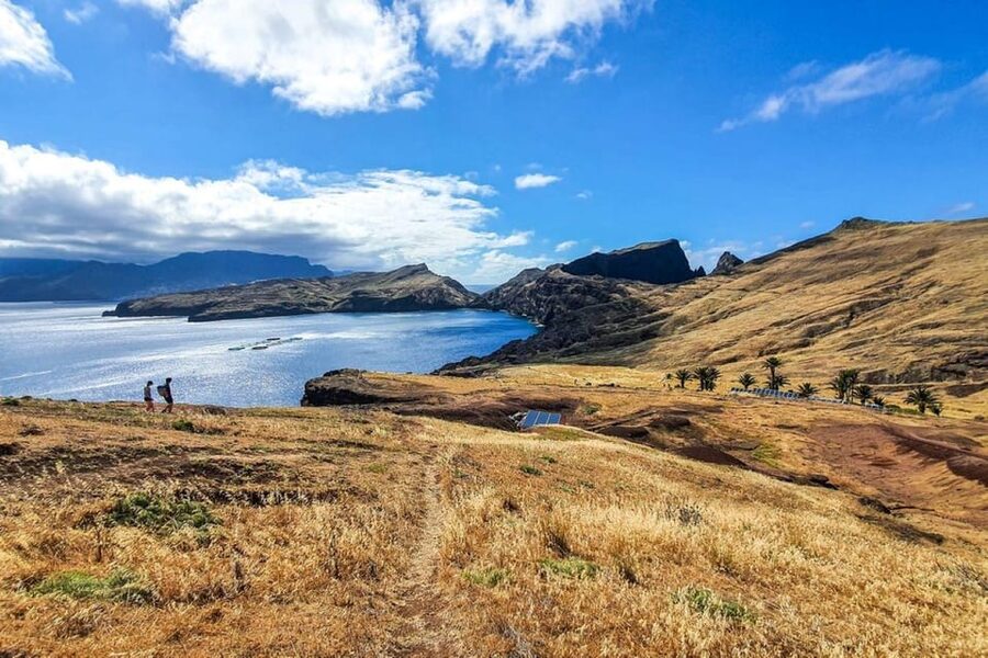 Funchal: Caniçal Ponta São Lourenco Hiking Transfer - Who should book this hike?