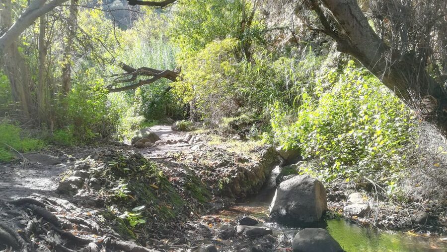 Gran Canaria: "Magic Waterfalls" Hiking Tour - Why the waterfalls make this tour different