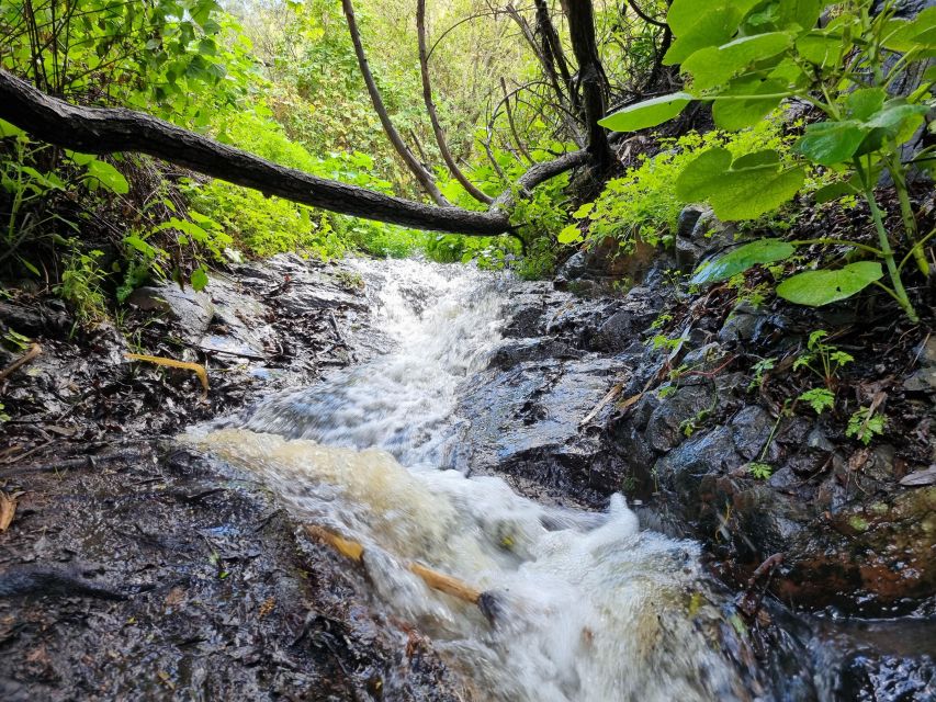Gran Canaria: "Magic Waterfalls" Hiking Tour - The local bar and Canarian lunch