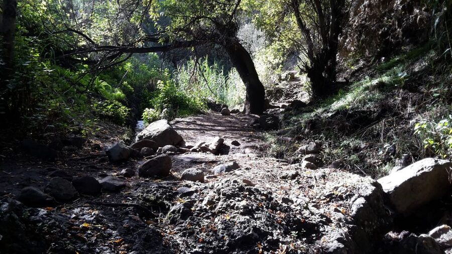 Gran Canaria: "Magic Waterfalls" Hiking Tour - What the $74 price includes