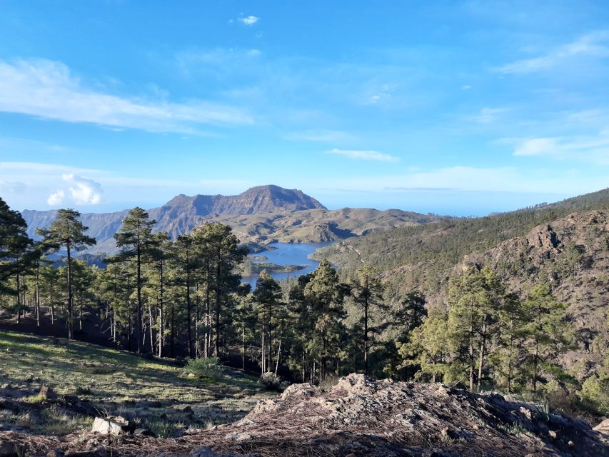 Gran Canaria: "Peaks of Gran Canaria" Hiking Tour - Why the mountain center is Gran Canaria’s best surprise