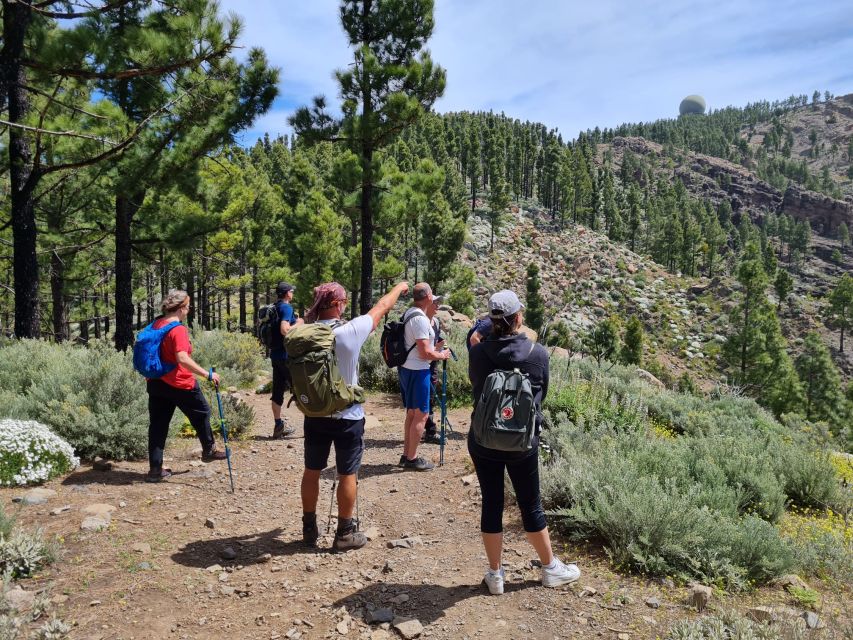 Gran Canaria: "Peaks of Gran Canaria" Hiking Tour - What the route feels like underfoot