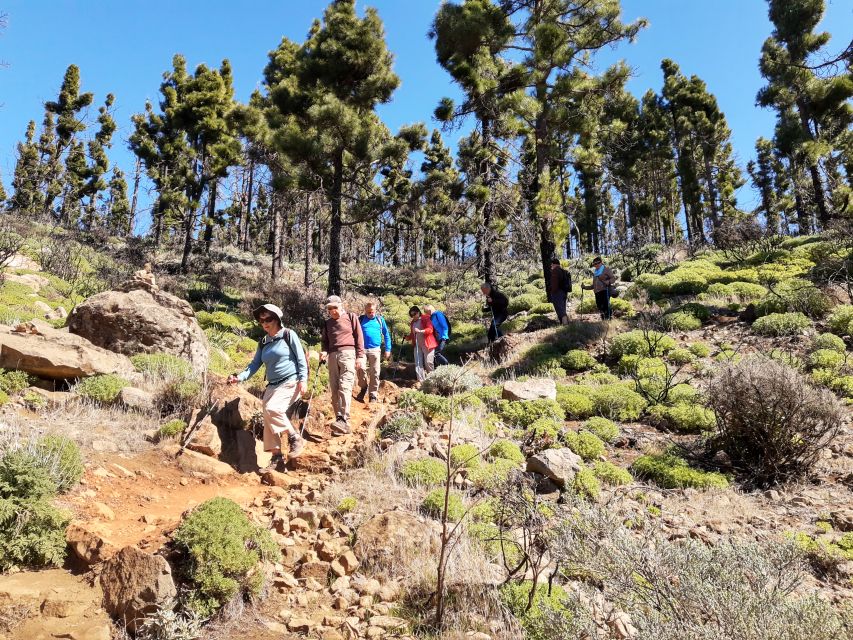 Gran Canaria: "Peaks of Gran Canaria" Hiking Tour - How Maciej shapes the day