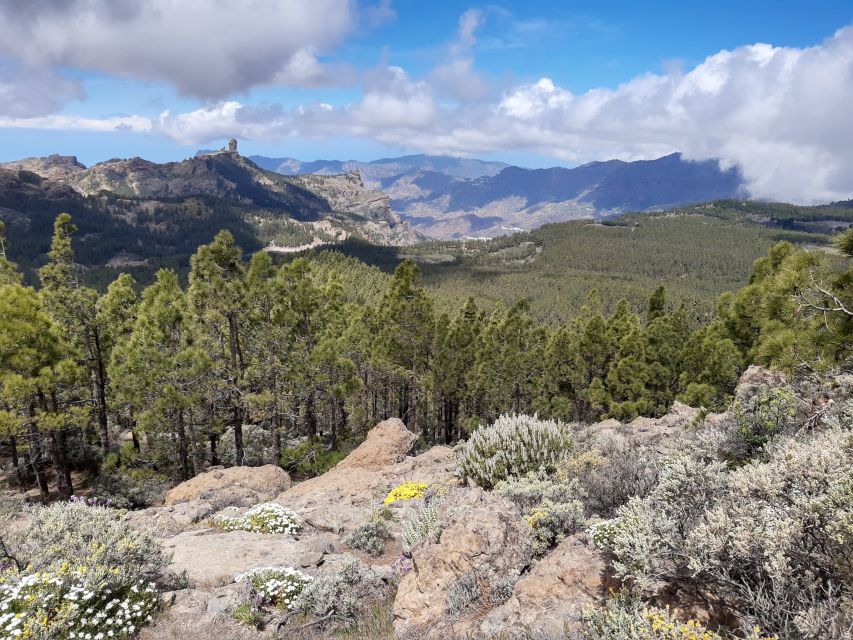 Gran Canaria: "Peaks of Gran Canaria" Hiking Tour - The views depend on clouds, wind, and timing