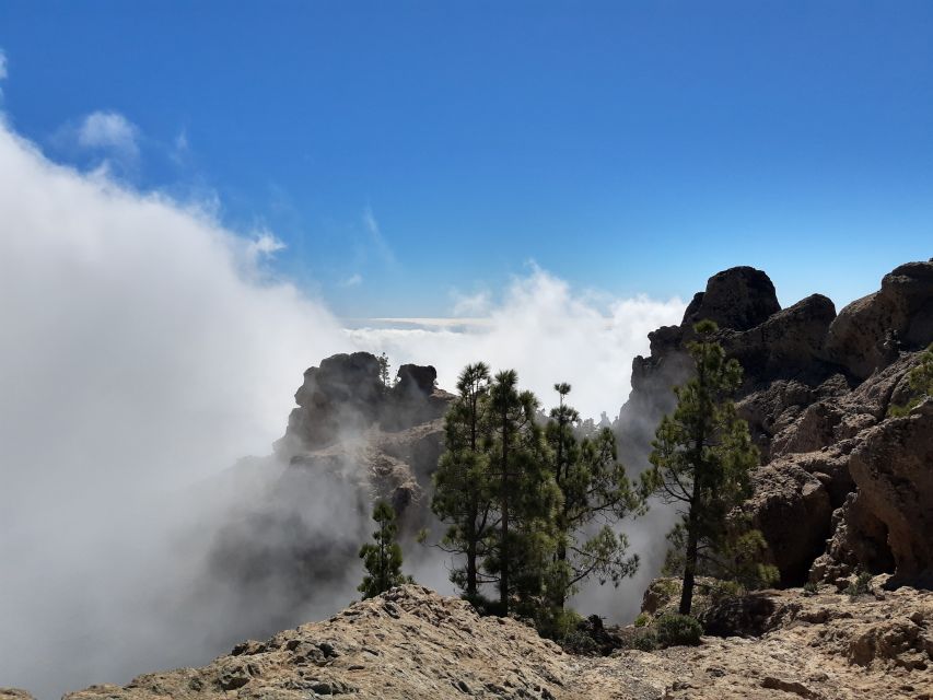 Gran Canaria: "Peaks of Gran Canaria" Hiking Tour - Who should book this hike?