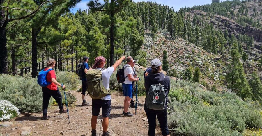 Gran Canaria: "Peaks of Gran Canaria" Hiking Tour - Two hiking plans, depending on the day and season