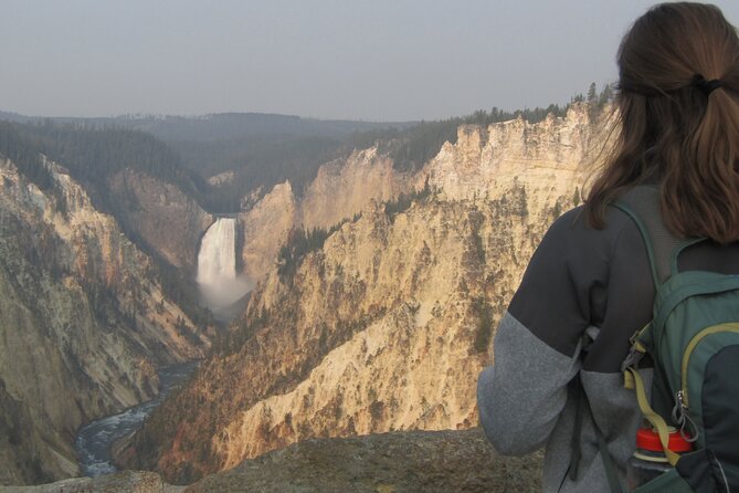 Grand Canyon of the Yellowstone Rim and Loop Hike with Lunch - Hayden Valley and wildlife from a safe distance