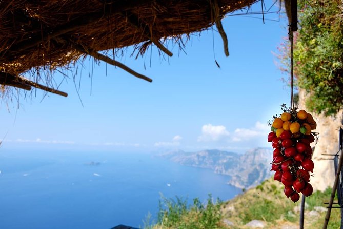 Guided Day Hike on the Path of the Gods with Sorrento Transfer - Key things to know before booking