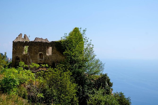 Guided Day Hike on the Path of the Gods with Sorrento Transfer - The guide adds more than directions