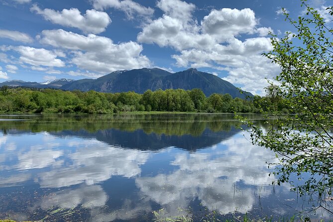 Guided forest hike to Seattle waterfalls incl. Snoqualmie Falls - North Bend, Snoqualmie, and a touch of local history