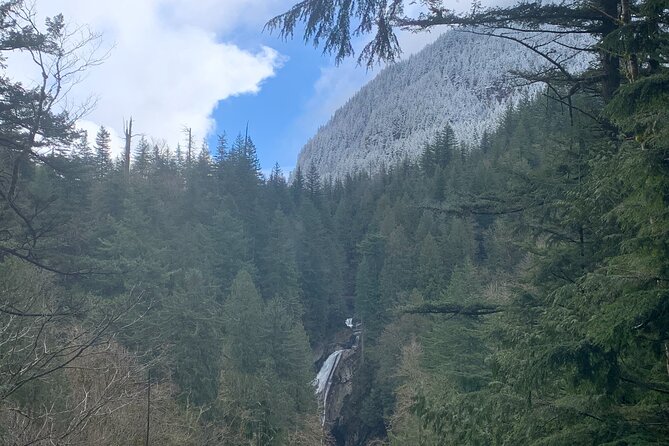Guided forest hike to Seattle waterfalls incl. Snoqualmie Falls - Who should book this half-day tour?