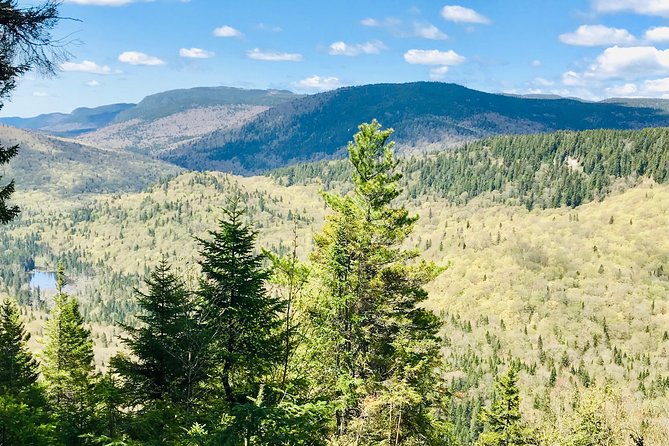 Guided Hike in Jacques-Cartier National Park - Local food makes the hike more memorable