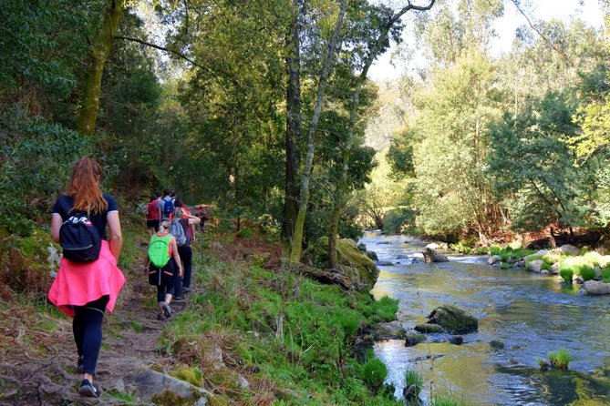 Half-day Hike & Picnic with Dog Love in Porto's Mountains - Meeting at São Bento Railway Station