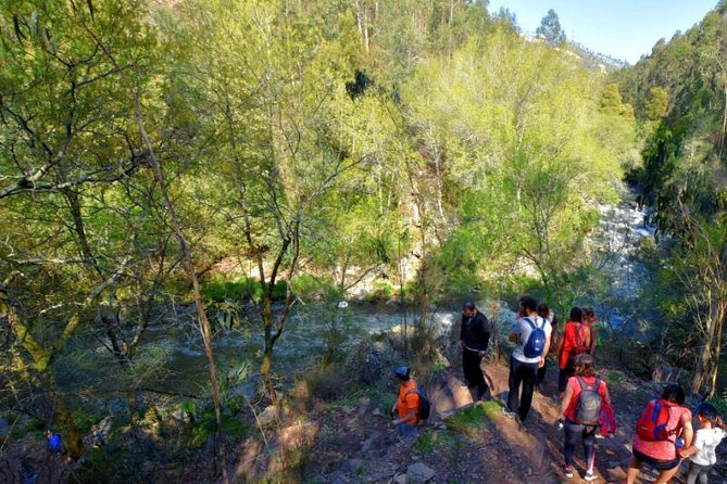 Half-day Hike & Picnic with Dog Love in Porto's Mountains - The picnic: a real part of the experience