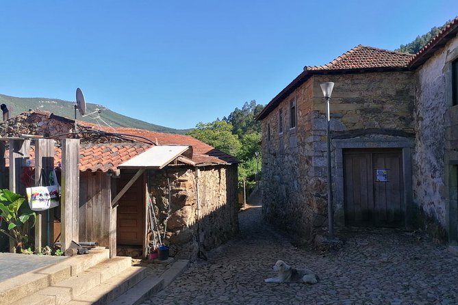 Half-day Hike & Picnic with Dog Love in Porto's Mountains - Who should book this hike?